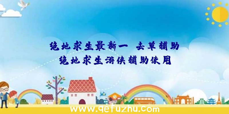 「绝地求生最新一键去草辅助」|绝地求生游侠辅助使用